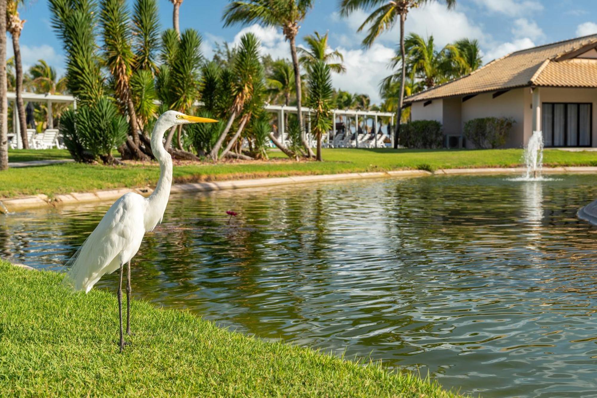 Vila Gale Resort Cumbuco Caucaia Kültér fotó